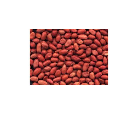 peanuts raw red nuts