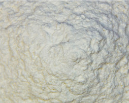Baker's Flour