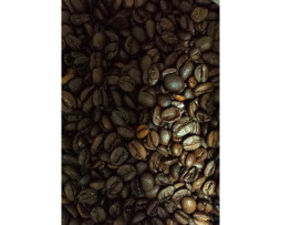 Espresso Venezia - Premium Blend