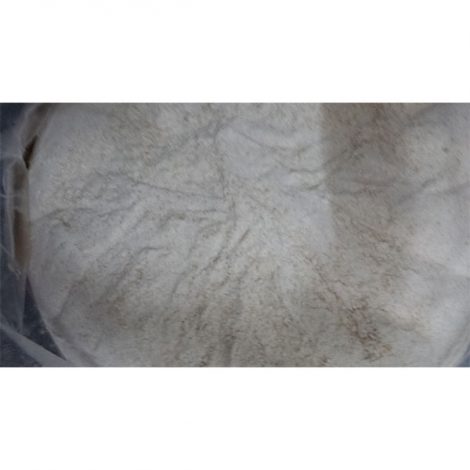 Organic Unbleached Plain Flour